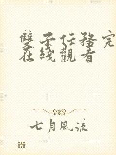 双子任务完整版在线观看