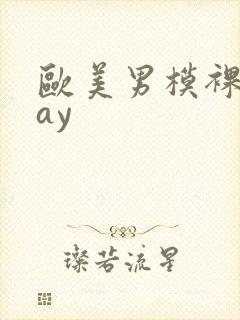 欧美男模裸体gay