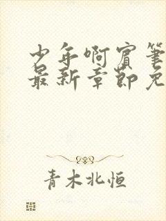 少年啊宾笔趣阁最新章节免费阅读