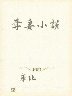 夺妻小说