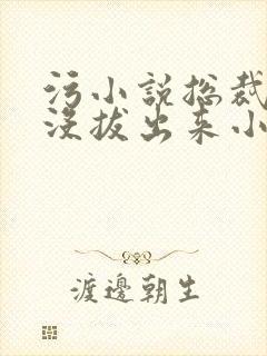 污小说总裁整夜没拔出来小说在线阅读封面