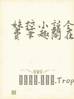 妹控小说全文免费笔趣阁在线阅读