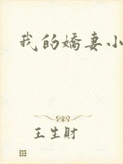 我的娇妻小说