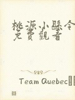 桃源小县令全集免费观看封面