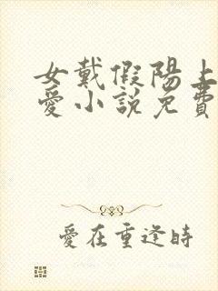 女戴假阳上男四爱小说免费阅读