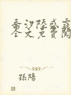 乔汐陆盛霆小说全文免费阅读封面