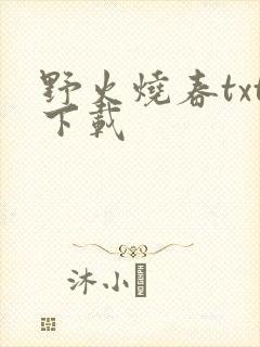 野火烧春txt下载
