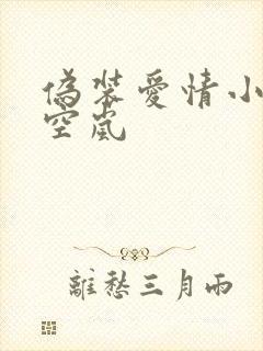 伪装爱情小说晴空岚封面