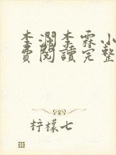 李澜李霖小说免费阅读完整版