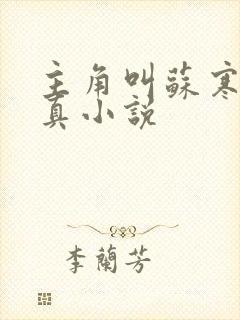 主角叫苏寒的修真小说