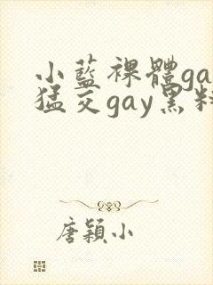 小蓝裸体gay猛交gay黑料网