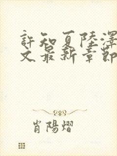 许知夏陆泽言全文最新章节免费阅读