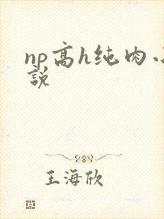 np高h纯肉小说