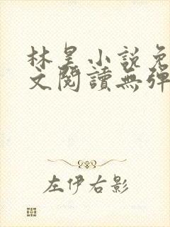 林昊小说免费全文阅读无弹窗