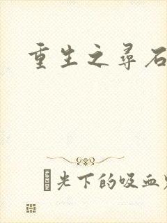 重生之寻石者封面