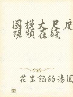 国模大尺度私拍视频在线