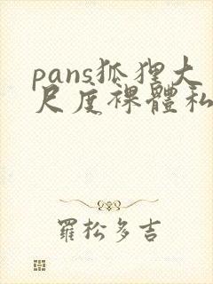 pans狐狸大尺度裸体私拍视频网站免费