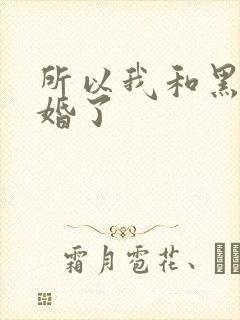 所以我和黑粉结婚了