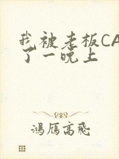 我被老板CAO了一晚上