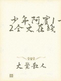 少年阿宾1一72全文在线封面