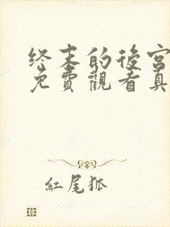 终末的后宫动漫免费观看真人版