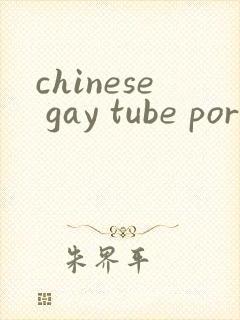 chinese gay tube porn封面