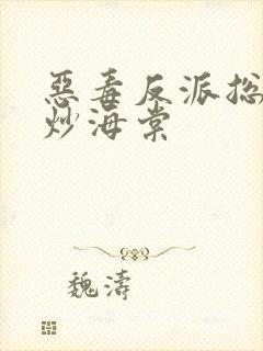 恶毒反派总被爆炒海棠封面