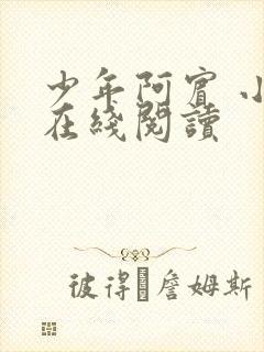 少年阿宾 小说在线阅读封面