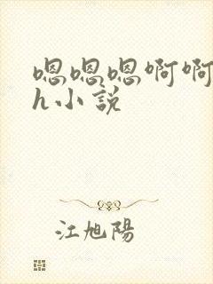 嗯嗯嗯啊啊啊高h小说封面