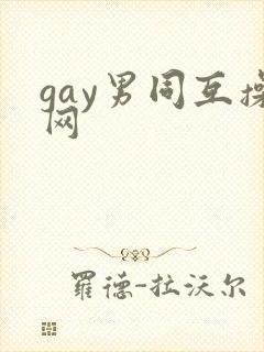 gay男同互操网