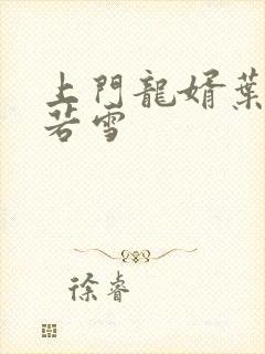 上门龙婿叶凡唐若雪