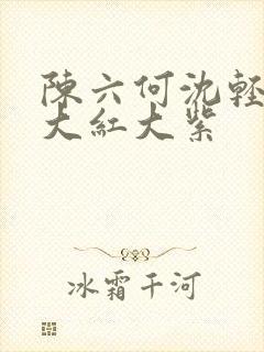 陈六何沈轻舞 大红大紫