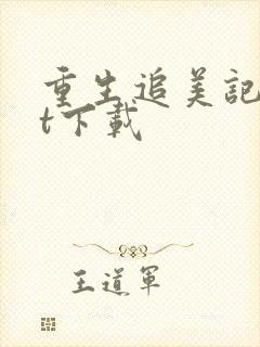 重生追美记txt下载封面