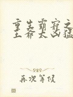 重生霸宠之摄政王爷太凶猛