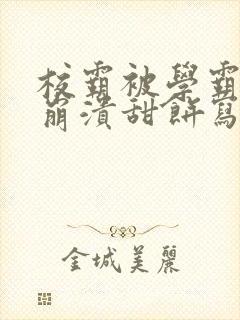 校霸被学霸玩到崩溃甜饼写手封面