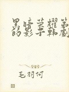 黑暗荣耀第二季的影子韩剧免费观看