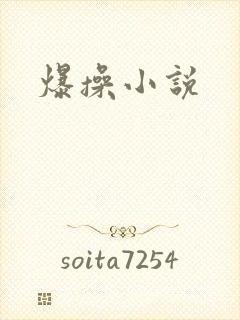 爆操小说