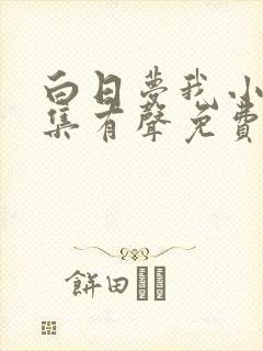 白日梦我小说全集有声免费听