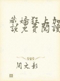 藏娇狂上加狂小说免费阅读封面