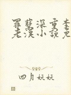 罪孽深重李茹王老汉小说免费全文