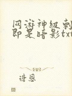 网游神级刺客我即是暗影txt下载