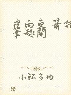 崔向东 萧错 笔趣阁