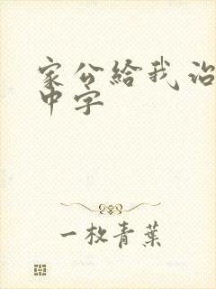 家公给我治疗5中字