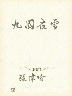 九国夜雪