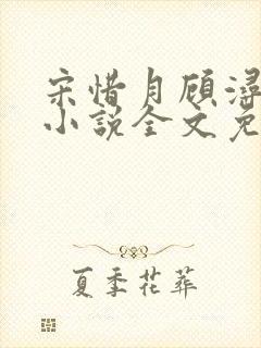 宋惜月顾浔渊的小说全文免费阅读