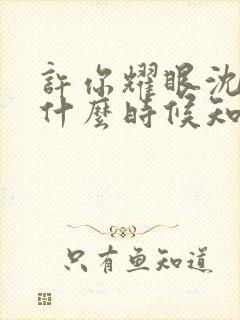 许你耀眼沈皓明什么时候知道许妍的身世