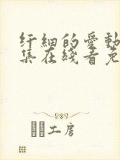 纤细的爱动漫全集在线看免费观看