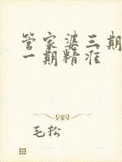 管家婆三期必开一期精准