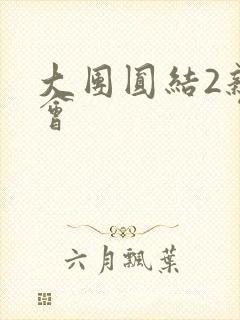 大团圆结2亲情会