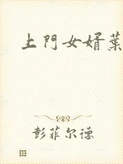 上门女婿叶辰封面